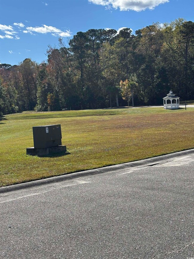 829 Commanders Island Rd unit Lot 183, Georgetown, SC 29440 - photo 3