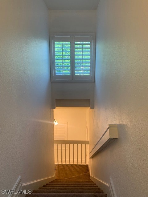 300 Diamond Cir unit 302, Naples, FL 34110 - photo 6