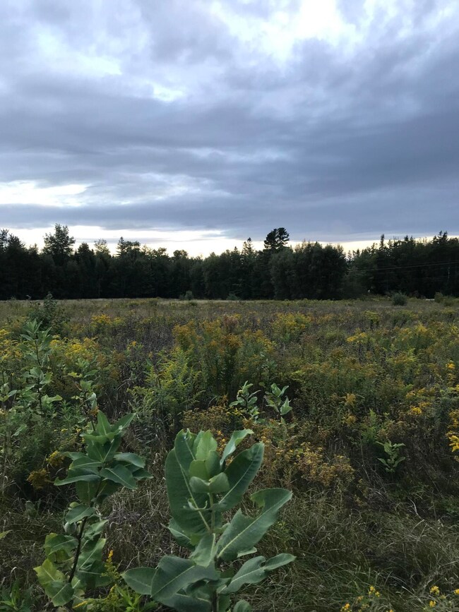 M1978 L92H State Route 9, Crawford, ME 04694 - photo 7