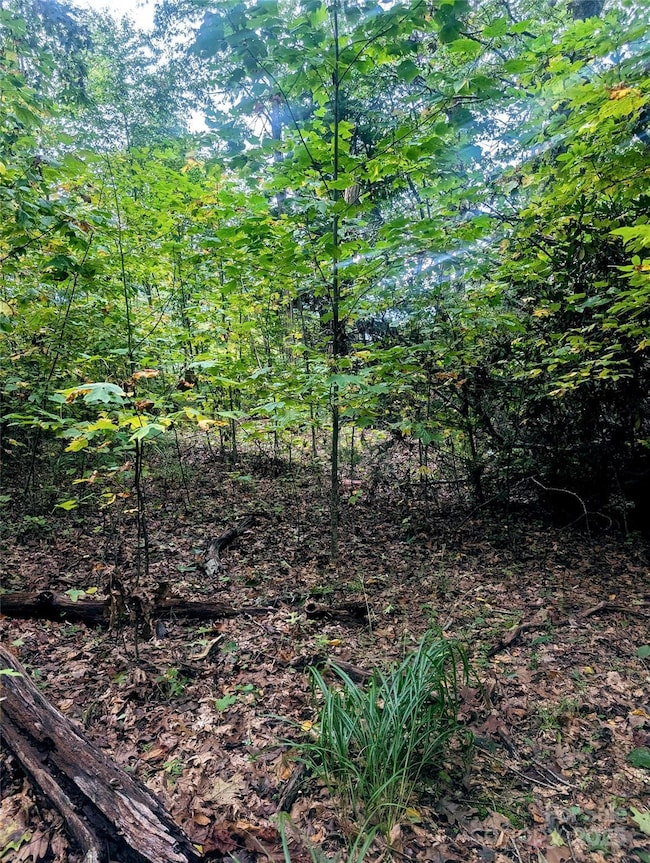 0 Luxury Lake None unit 5A/6A/7A, Etowah, NC 28739 - photo 6