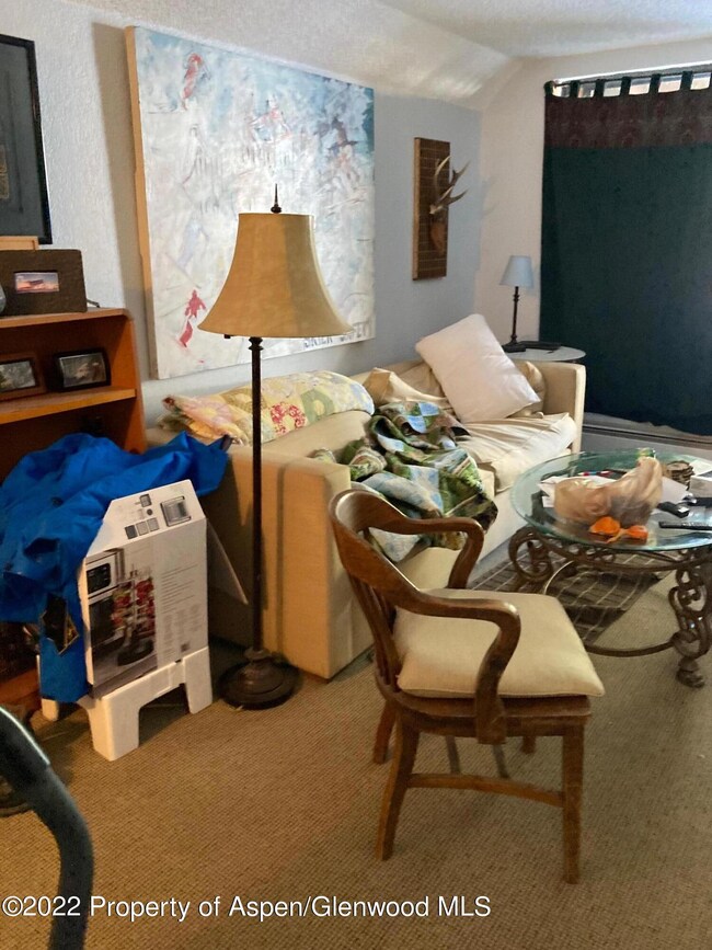 1313 Vine St unit 1313, Aspen, CO 81611 - photo 4