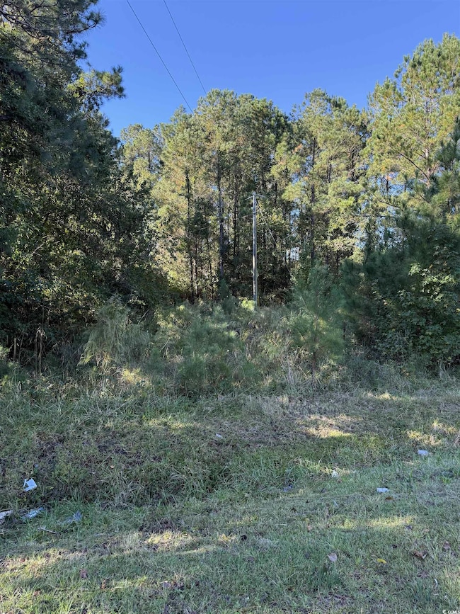 0 Highway 57 unit 2528836, Little River, SC 29566 - photo 6