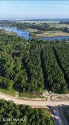 137 Cutter Bay, Stonewall, NC 28583 - photo 5