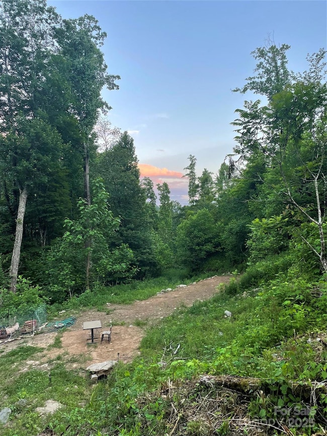 1201 Simms Fork Rd, Burnsville, NC 28714 - photo 3