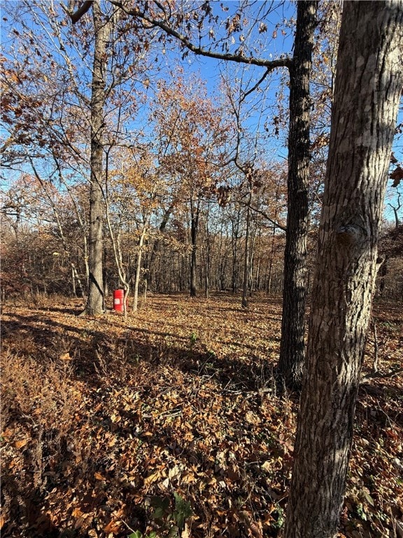 15 Halford Ln, Bella Vista, AR 72715 - photo 2