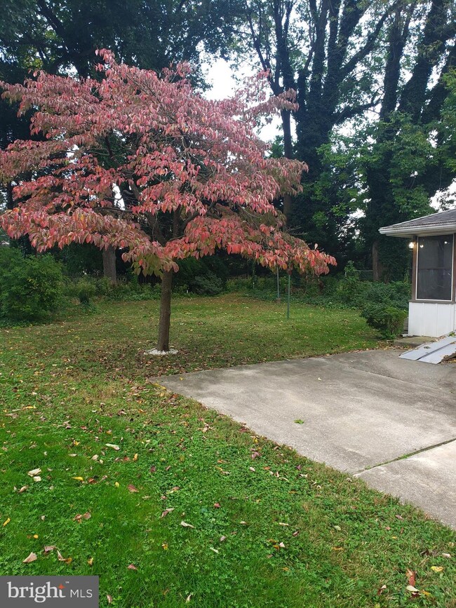 201 Briarwood Ave, Haddonfield, NJ 08033 - photo 3