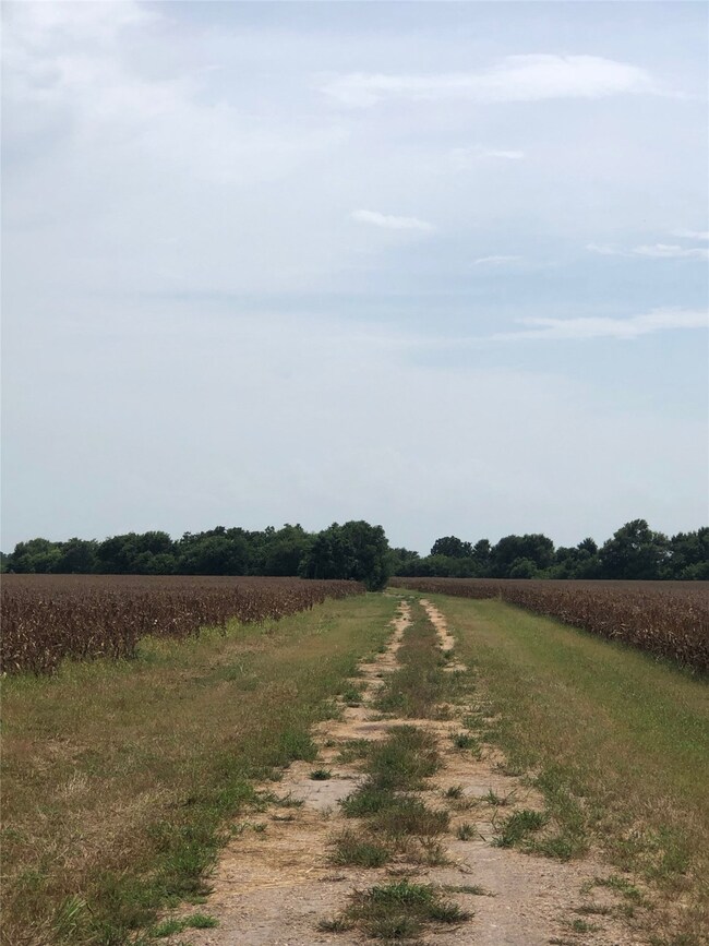 546 Fm 360 Rd, Beasley, TX 77417 - photo 2