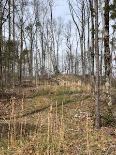 6495 1675 Hwy, Somerset, KY 42501 - photo 5