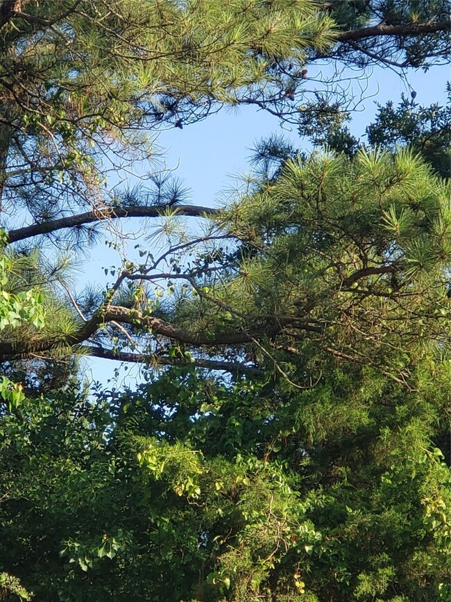 0 Carrell Lot 3 St unit 33105522, Tomball, TX 77375 - photo 3