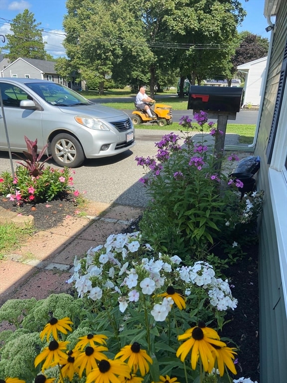 262 Homeland Dr, Whitman, MA 02382 - photo 2