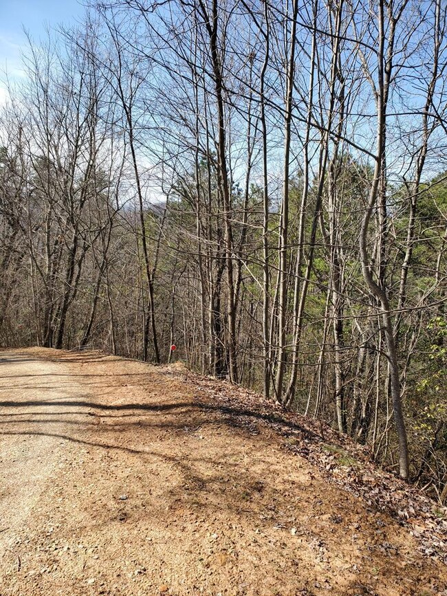 00 Roy Cook Rd, Franklin, NC 28734 - photo 2