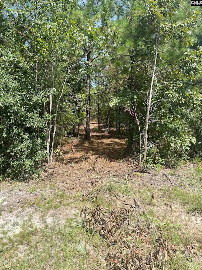 PPF 10 Payne Pond Rd unit PPF 10, Westville, SC 29175 - photo 2