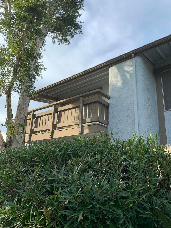 Balconi View IMG_1335