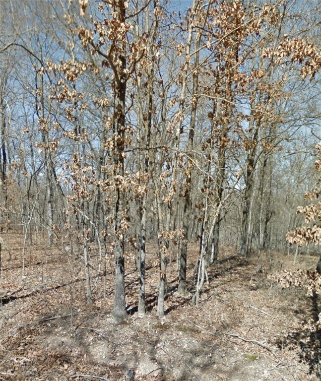 0 Kings Lynn Ln unit 1228590, Bella Vista, AR 72715 - photo 2