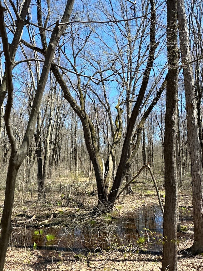 00WP Wemple Rd, Glenmont, NY 12077 - photo 4