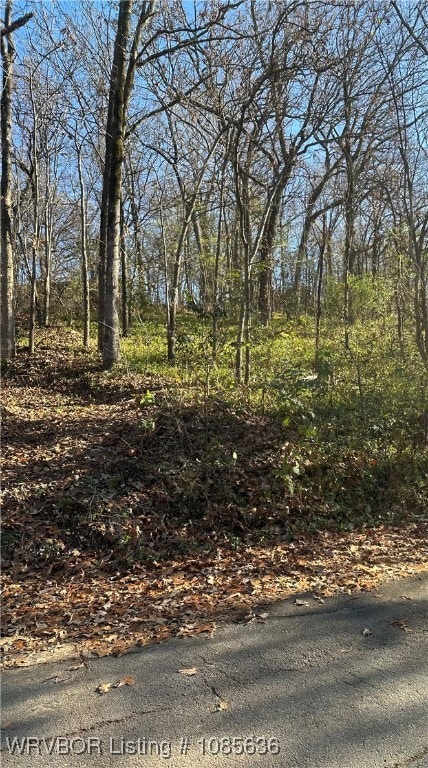 TBD Mockingbird Ln, Fort Smith, AR 72901 - photo 2