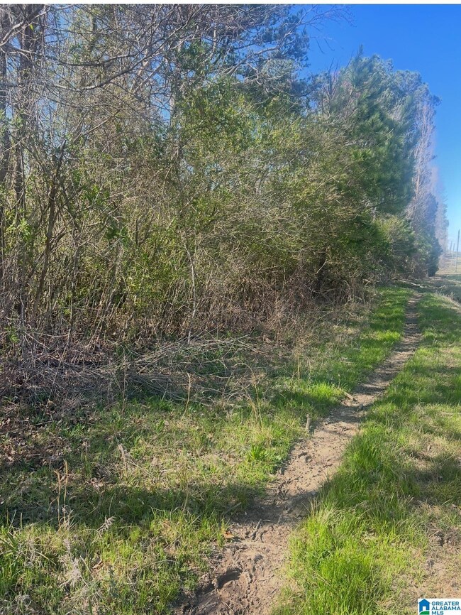 0 Alabama Highway 77 unit 42 Acres 21413831, Ohatchee, AL 36271 - photo 2