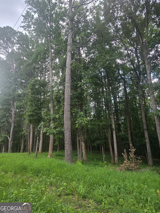 6147 Little Ridge Rd, Acworth, GA 30102 - photo 4