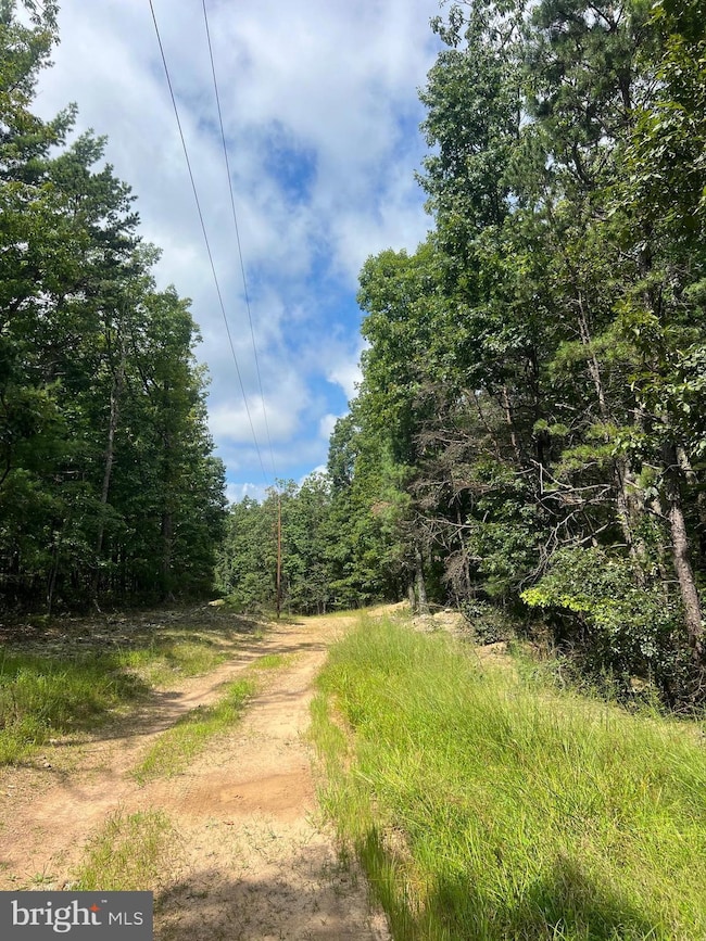 0 Supinlick Ridge Rd unit VASH2012594, Mount Jackson, VA 22842 - photo 2
