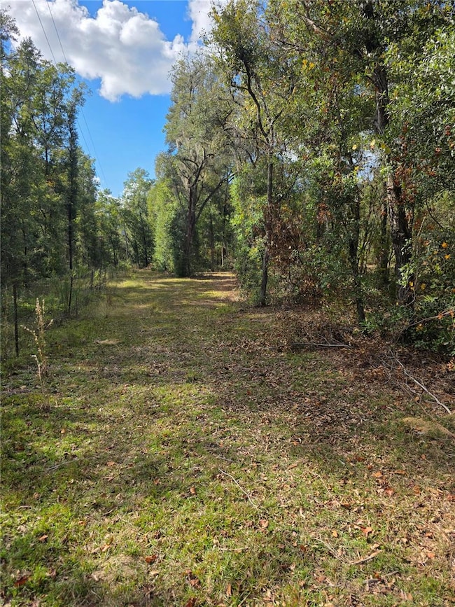 TBD NE 111th Ave, Archer, FL 32618 - photo 5