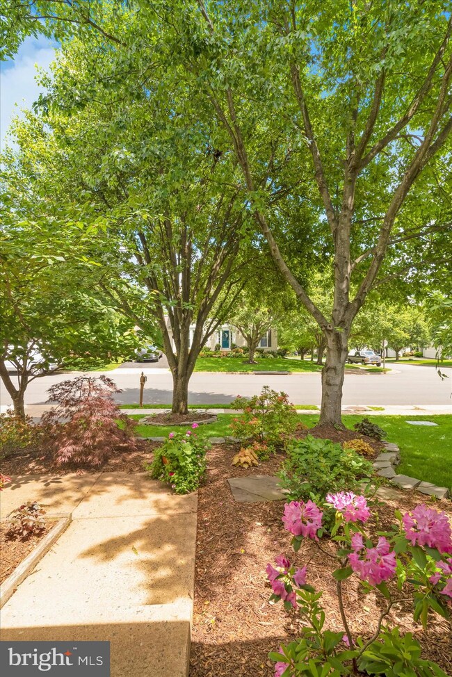 20773 Cross Timber Dr, Ashburn, VA 20147 - photo 7