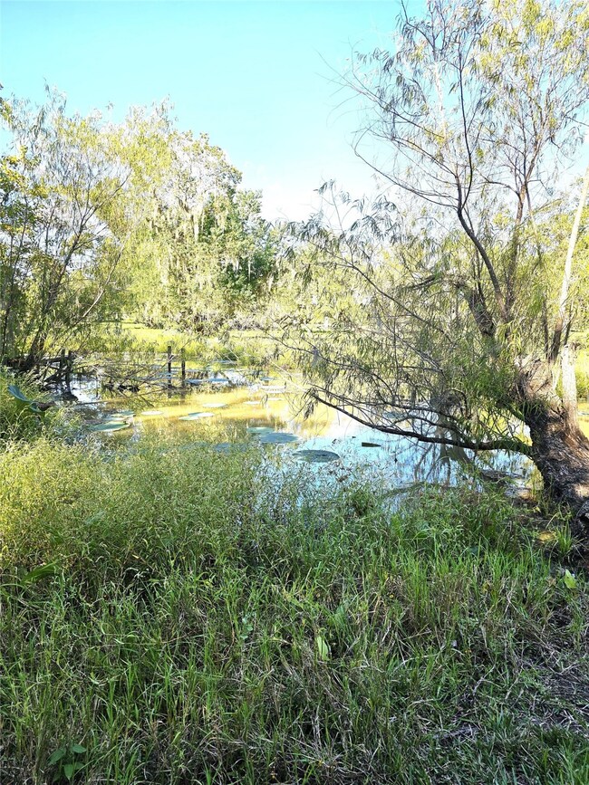 0 Cr-506 unit 88472236, Brazoria, TX 77422 - photo 3