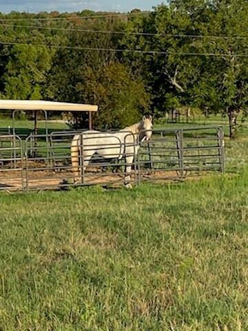 2684 N Cardinal Dr N, Reno, TX 76020 - photo 5
