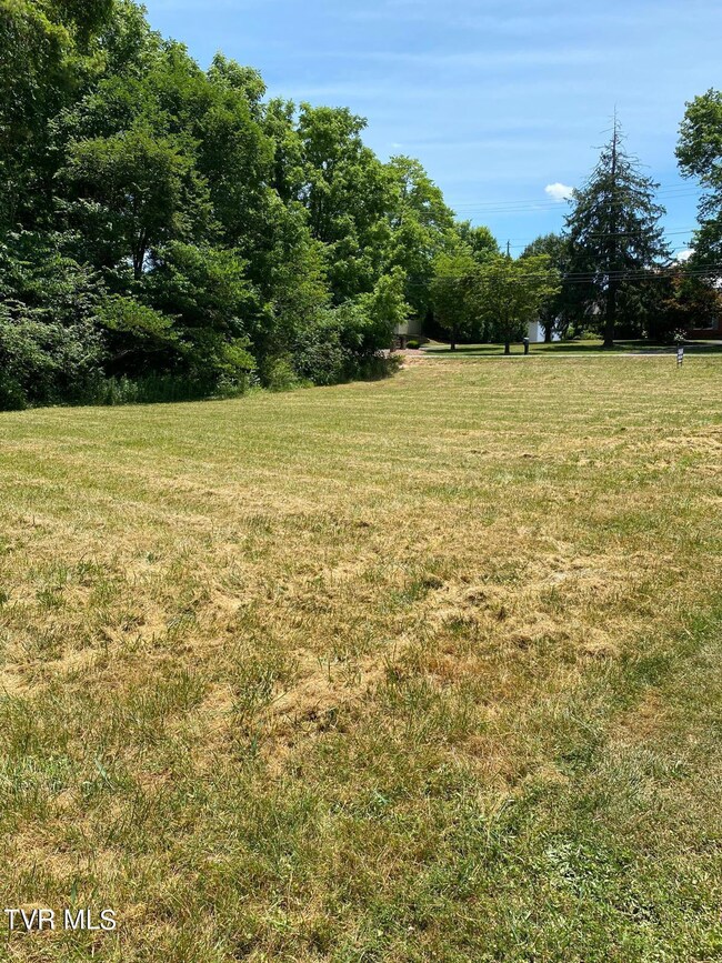 Tbd Abbott Dr, Johnson City, TN 37601 - photo 5