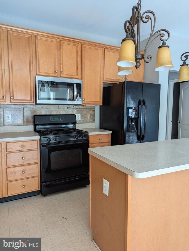22535 Welborne Manor Square, Ashburn, VA 20148 - photo 3
