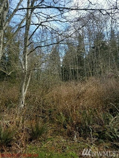 2 Shadowbrooke Ln, Port Hadlock, WA 98339 - photo 2