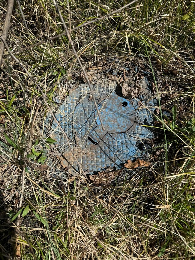 0 S Amhurst Place unit RTC3051683, Englewood, TN 37329 - photo 4