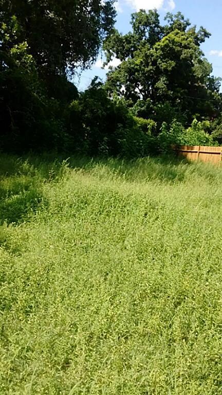 0 Fortune St, Houston, TX 77088 - photo 3