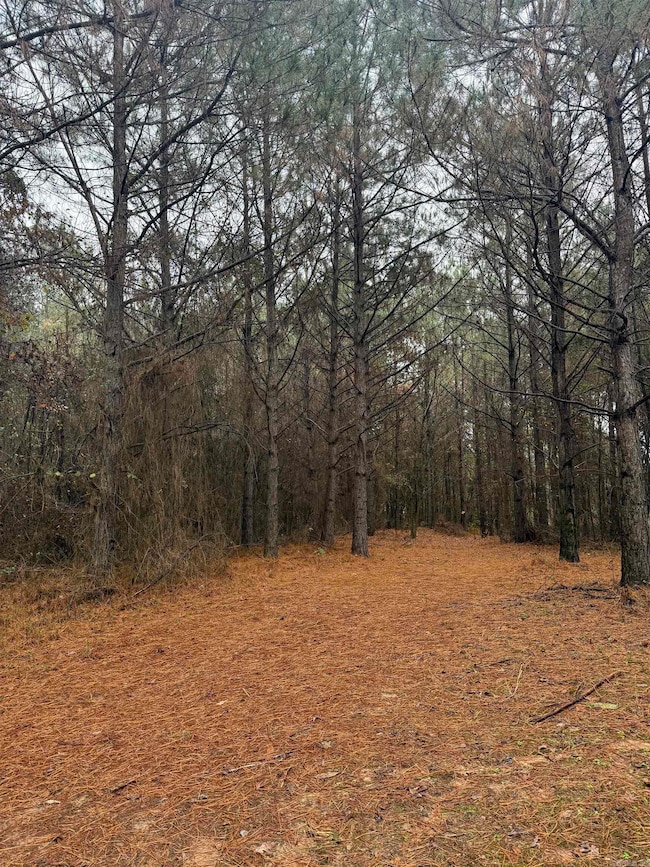 TBD Loan Oak Rd, Lockesburg, AR 71846 - photo 3