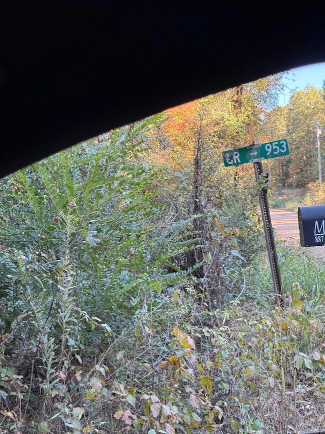 865 Cr 960 unit 4-15-05, Brookland, AR 72417 - photo 5