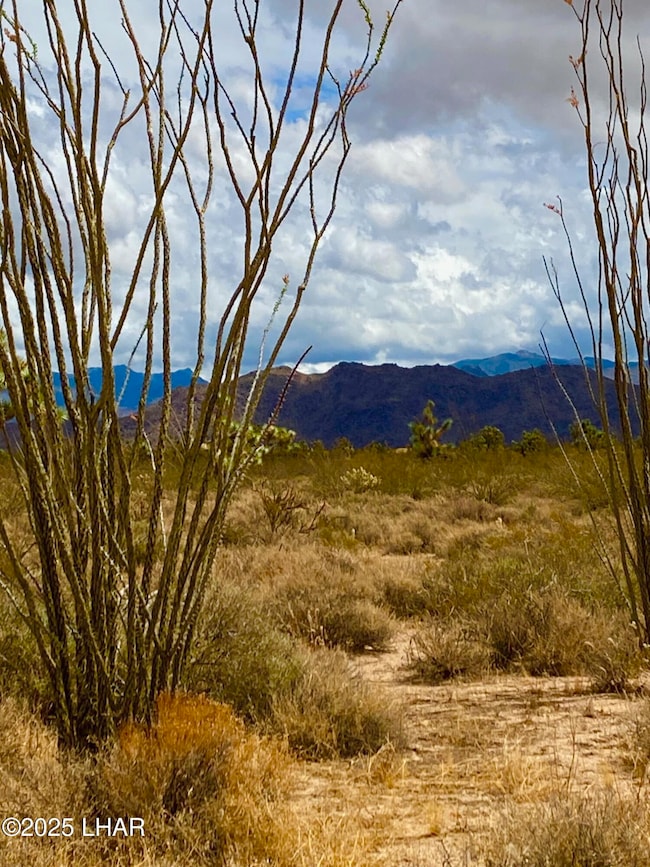 120 ACRES S Dale Evans Rd, Yucca, AZ 86438 - photo 4