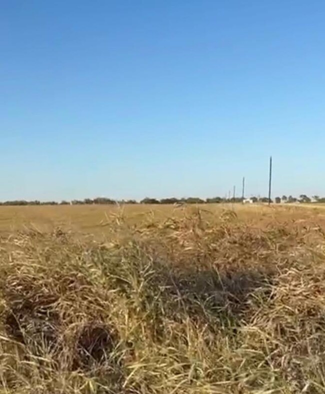 00 County Road 133 Center unit Lot 6, Ben Arnold, TX 76519 - photo 2