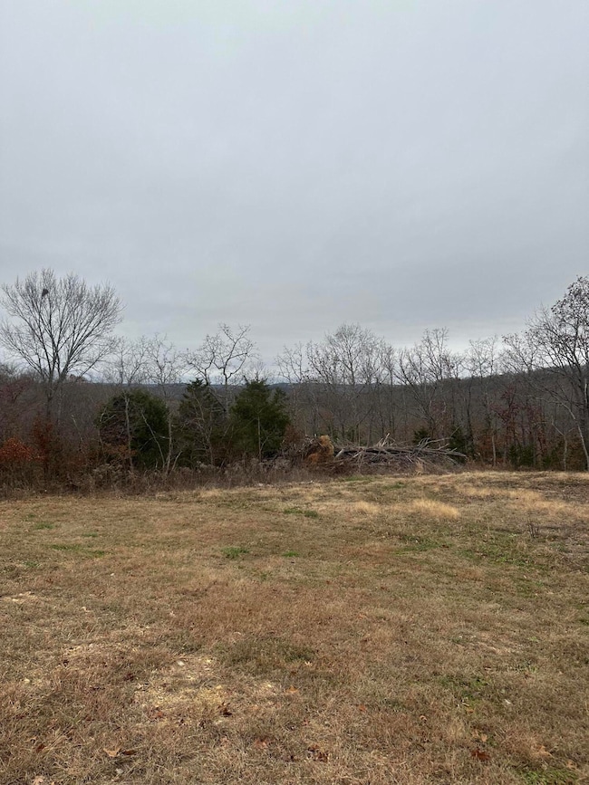 807 State Highway U, Mansfield, MO 65704 - photo 7