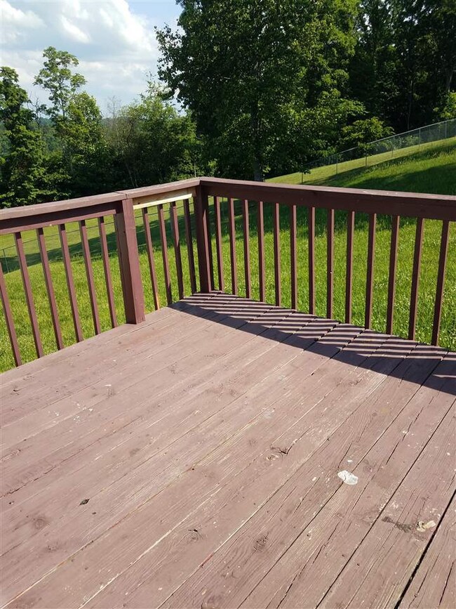 3813 Shandee Ln, Morristown, TN 37814 - photo 7