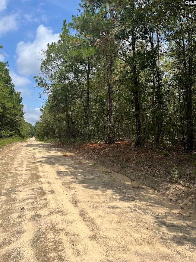 BHL 3 Boise Cascade Rd unit BHL 3, Bethune, SC 29009 - photo 5