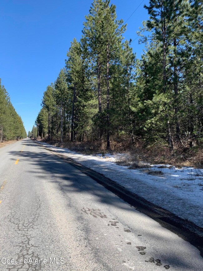 Paved main road