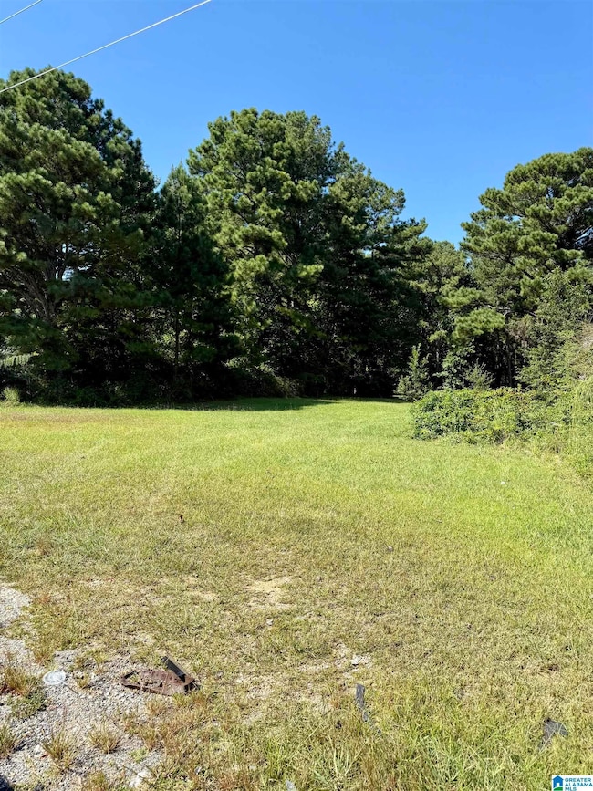 0 Highway 46 unit 2 21430866, Heflin, AL 36264 - photo 2