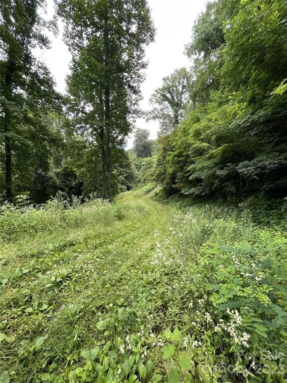 View from the wooded lot