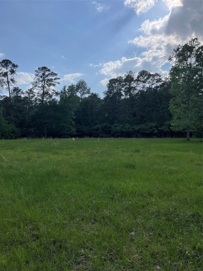 31111 Sugar Bend Dr, Magnolia, TX 77355 - photo 2