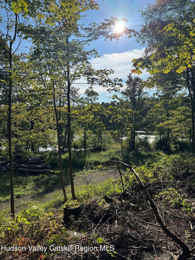 L2 High Rock Rd, West Coxsackie, NY 12192 - photo 2