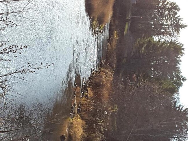 Stream nearby to fish or kyack