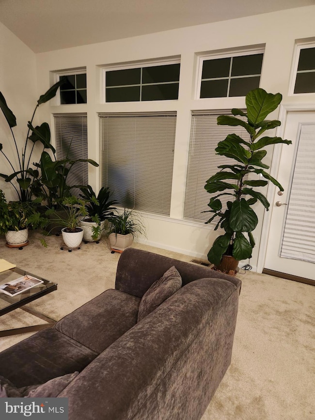 30246 Piping Plover Dr, Millsboro, DE 19966 - photo 7