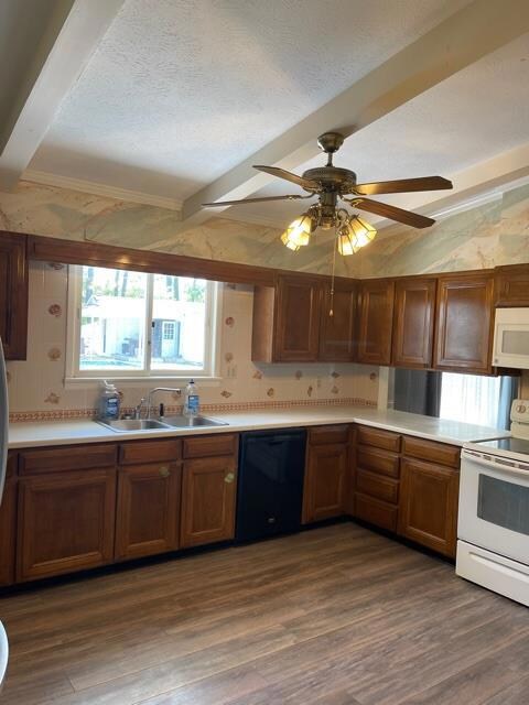 733 Ga Highway 45 N, Colquitt, GA 39837 - photo 6