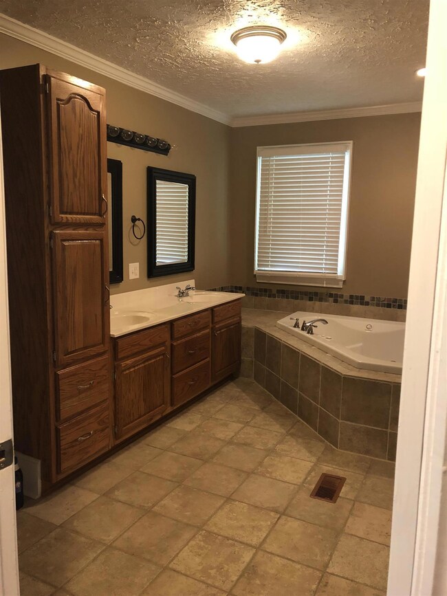 Downstairs bathroom with jacuzzi tub