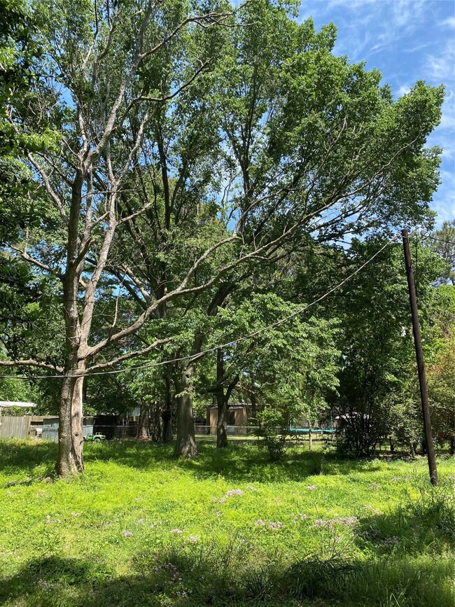 17810 Willow Run St, Hockley, TX 77447 - photo 5