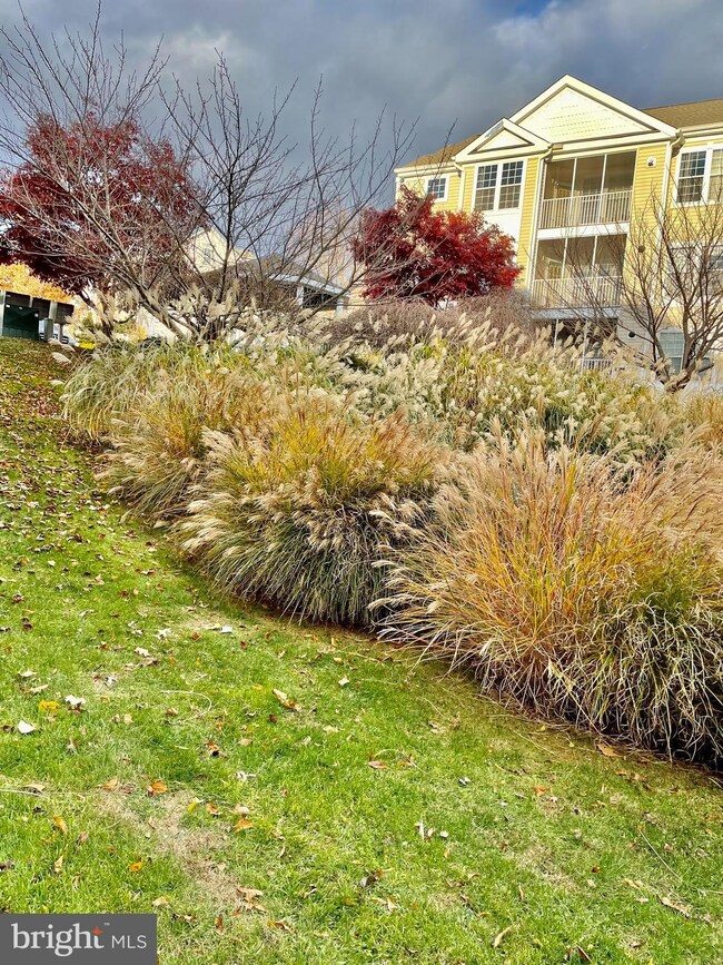 12008 Amber Ridge Cir unit A001, Germantown, MD 20876 - photo 3